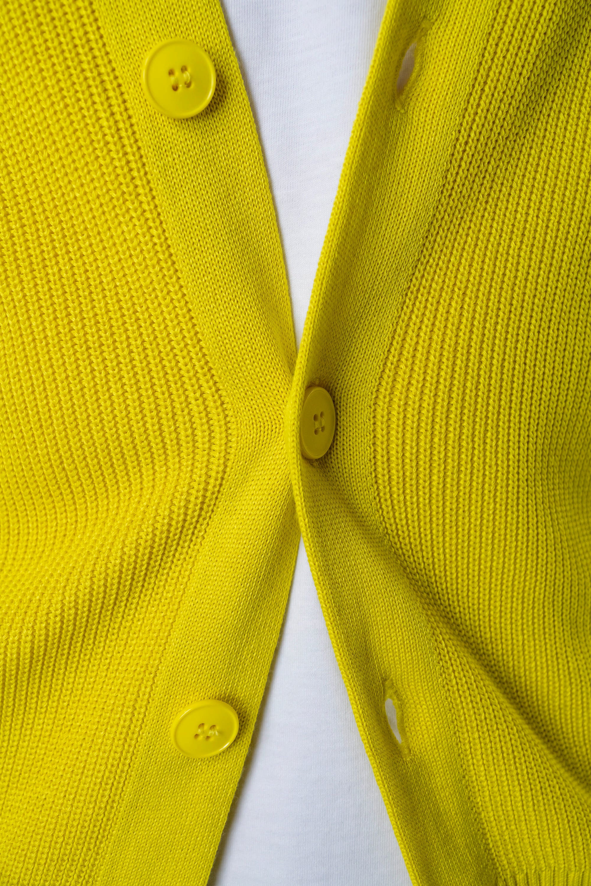 Immagine diapositiva