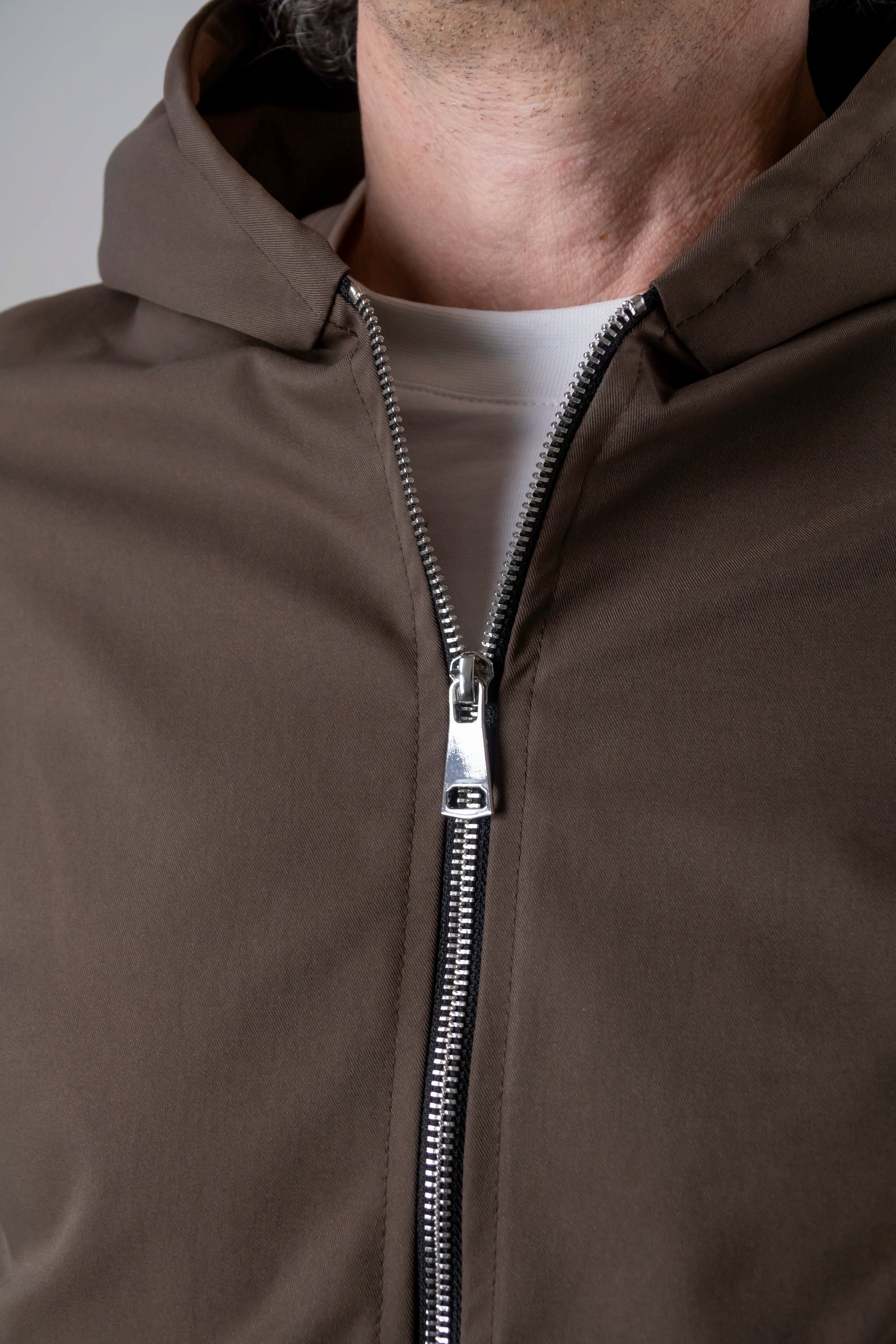 Immagine diapositiva