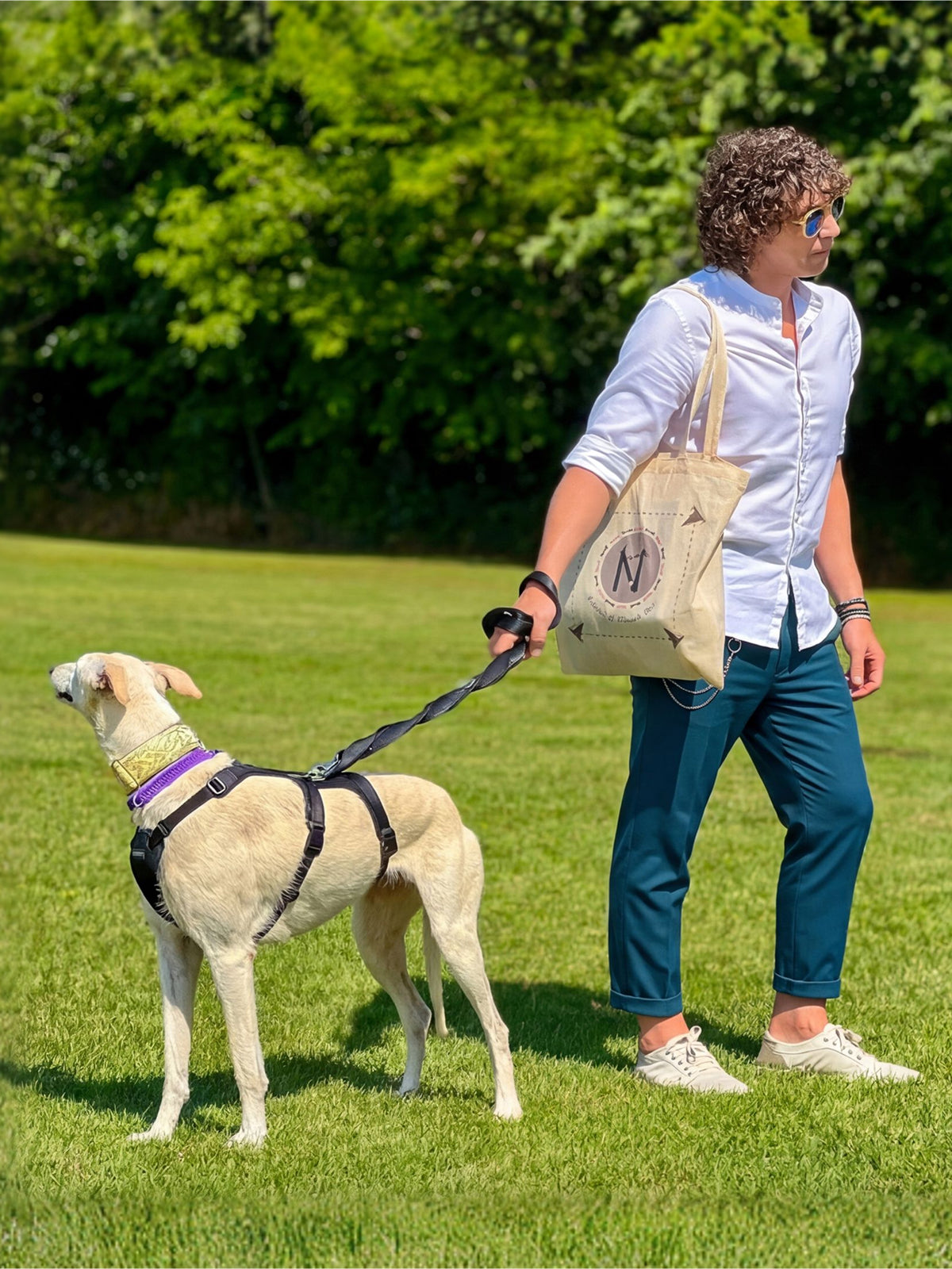 Immagine diapositiva